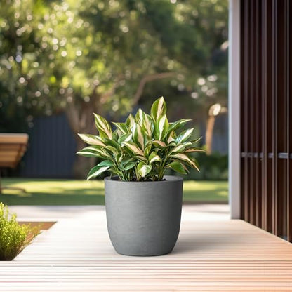 Kante Accent Round Curved Pale Gray Concrete Planter 13.3" Dia, Outdoor - color: Natural Concrete, size: 13.4"d