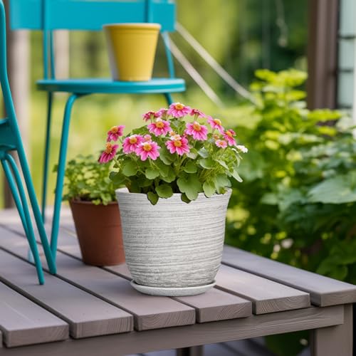Ceramic Pots for Plants, 5.6 Inch Plant Pot with Drainage, Grey - color: Grey-white, size: 6 Inch