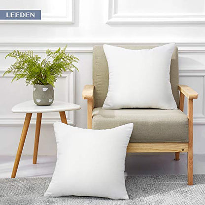 Leeden 22x22 Throw Pillow Inserts Set of 2-100% Cotton Cover - size: 22x22 Inch