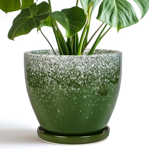 Ceramic Pots for Plants - 8 Inch Planter for Indoor Outdoor Plants, Round Planter, Large Flower Pot with Drainage and Saucer, Home Room Garden Office Decor, Birthday Gifts, Green - color: Blackish Green, size: 8 Inch
