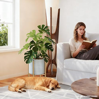 Adjustable Plant Stand Indoor, 2 Heights,Golden with Round Plate - color: golden-b