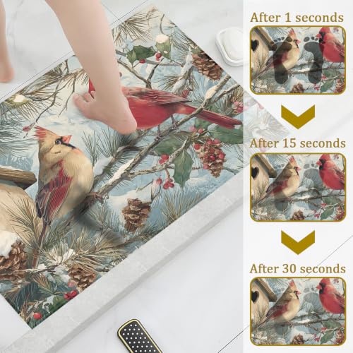 Red Cardinal Bird Bath Mat Rug, Door Mat Doormat Entrance Non-Slip Bathroom Rugs for Entryway Bathroom Kitchen 17 x 30 Inch - color: Red Cardinal Bird