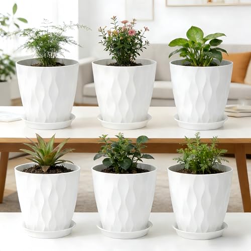 8 Inch Plant Pots Plastic Planters with Drainage Holes & Saucer, 6 Pack - color: White 8 Inch