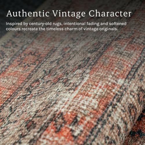 Rustica 4' x 6' Terracotta & Black Accent Rug - Persian-inspired design - size: 4' x 6' (Rectangular)