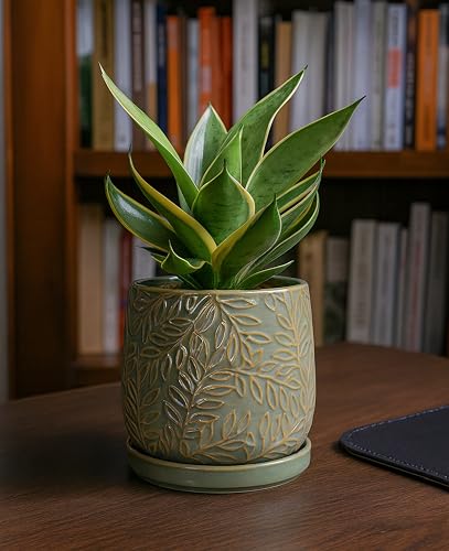 D'vine Dev Embossed Leaves Ceramic Planter, 6 in, Olive, 27-A-X-0 - color: Olive, size: 6 Inch