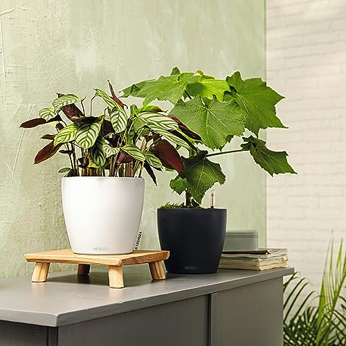 Lechuza Classico Color 21 Slate, Self-Watering Small Round Planter, D8.3 H7.9 in - color: Slate Matte, style: 21