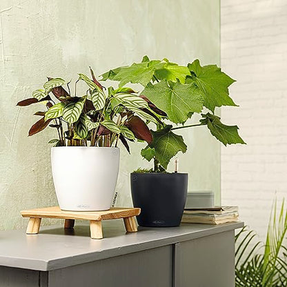 Lechuza Classico Color 21 Slate, Self-Watering Small Round Planter, D8.3 H7.9 in - color: Slate Matte, style: 21