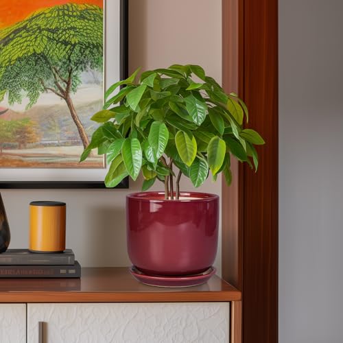 Ceramic Flower Pot for Plants, 8 Inch Plant Pot, Red - color: Red, size: 8 Inch