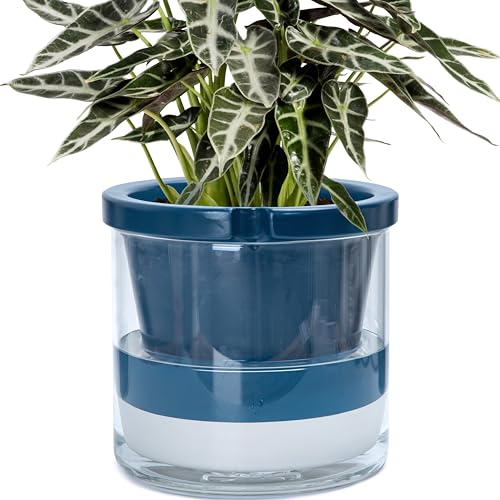 D'vine Dev Self-Watering Blue Terracotta Planter Pot, 10 in, 37-X-D-4 - color: Blue, size: 10 Inch