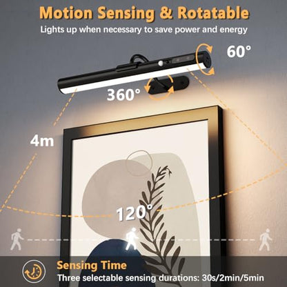 Motion Sensor Battery Operated Picture Light,Wireless Picture Light - color: Motion Sensor Black