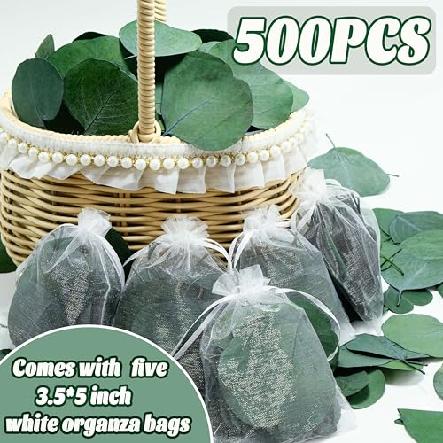 500+ Pcs Dried Silver Dollar Eucalyptus Leaves for Wedding Decor