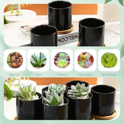 Cindeer 12 Pack Small Succulent Pots 3 Inch Plant Pots with Drainage,Black - color: Black