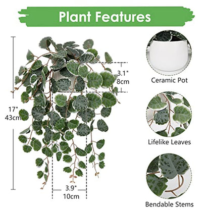 Briful 17" Artificial String of Hearts Plant in White Ceramic Pot - color: Green