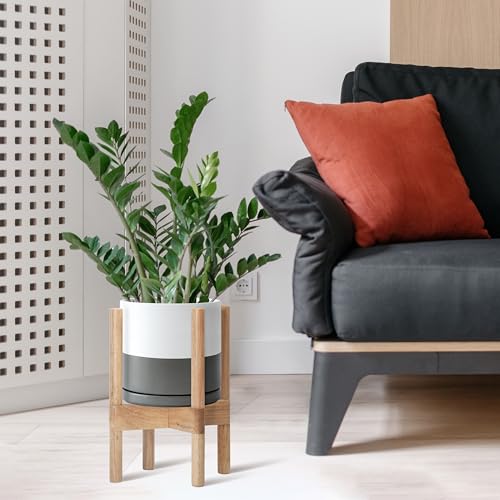D'vine Dev Ceramic Pot with Natural Wood Stand, White/Grey, 8 in, 55-B-N-6 - color: White/Grey Pot + Natural Stand, size: 8 Inch