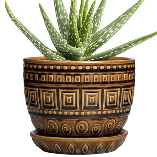 G EPGardening Succulent Pot 5.5 Inch - Ceramic Plant Pot for Indoor Plants Outdoor, Round Boho Planter with Drainage Hole and Saucer, Gifts for Plant Lovers, Office Home Garden Decor, Brown - color: Palindrome Brown