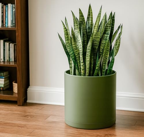 D'vine Dev Plastic Planter Pot with Saucer, 14 in, Olive, 74-X-I-4 - color: Olive, size: 14"