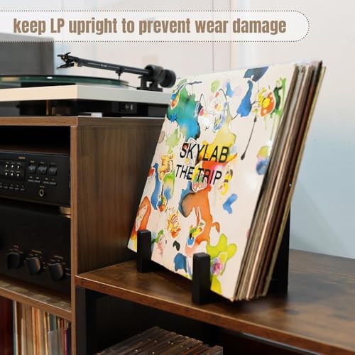 Vinyl Record Holder, 1 Pcs Metel Tabletop Record Display for Album Magazine