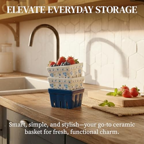 BIEN BEAU Ceramic Berry Baskets Set of 4, Blueberry Colander Fruit Bowls - color: Blue