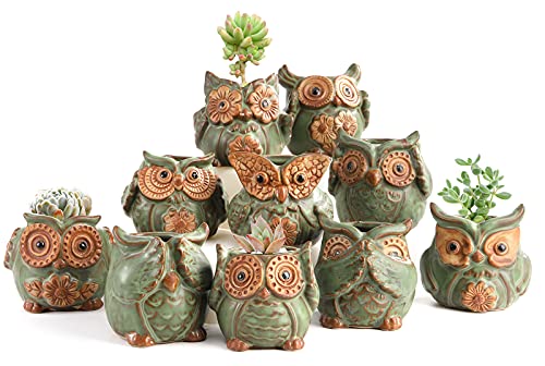 TOPZEA 10 Pack Succulent Planter Pots with Drainage Hole, Cute Owl Ceramic Small Planters Animal Tiny Flower Plant Pots Containers Indoor for Cactus, Herb, Home, Garden, Windowsill, Coffee Table Decor