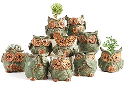 TOPZEA 10 Pack Succulent Planter Pots with Drainage Hole, Cute Owl Ceramic Small Planters Animal Tiny Flower Plant Pots Containers Indoor for Cactus, Herb, Home, Garden, Windowsill, Coffee Table Decor