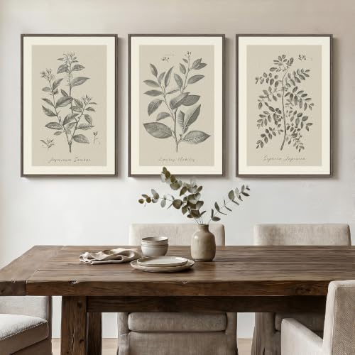 Framed 3 Piece Neutral Vintage Botanical Wall Art for Dining Room, 16x24 In - color: Vintage Neutral, size: 16" W x 24" H x 3Pcs