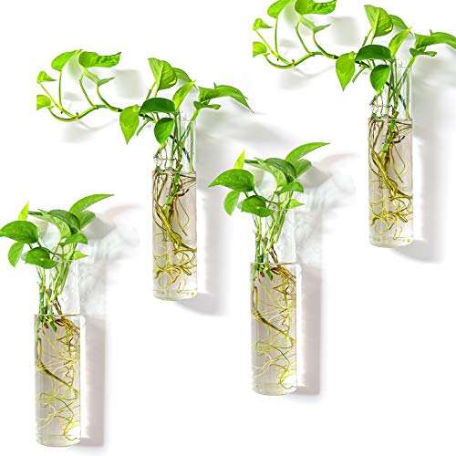 Kingbuy Plant Propagation Station Wall Mounted, 4 Glass Tubes - color: Long Cylinder