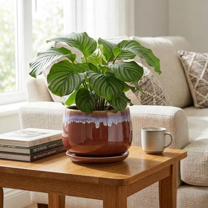 9 Inch Ceramic Planter, Indoor Planters with Drainage, Red-Purple - size: 9 Inch, style: Red-purple
