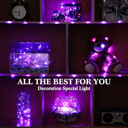 Hortsun 100 Pack Battery Operated Fairy Lights 7 ft 20 LED, Purple - color: Purple Light