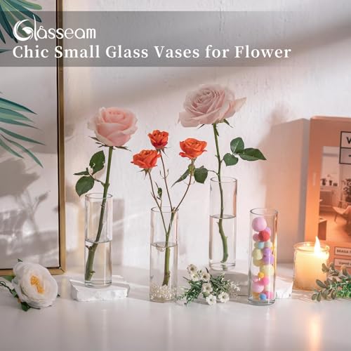 Glasseam Cylinder Bud Vases in Bulk 24: Clear Small Glass Vases for Flowers
