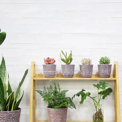 Gepege Ceramic Succulent Pots, 4 Inch Small Plant Pots with Drainage - color: Clay+white, size: 4 Inch - Set of 4
