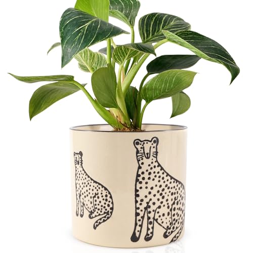 STHIE 5 Inch Ceramic Planters for Indoor Plants, Funny Small Plant Pots - color: Beige-two Panthers