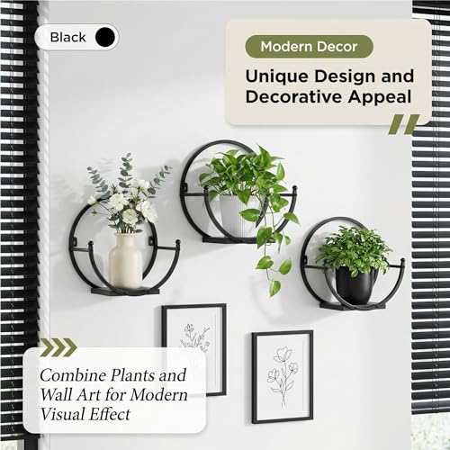 Wall Plant Holders for Indoor Plants, Round Mounted Frame, 2 Pack - size: 11 inches x 5.9 inches x 11 inches
