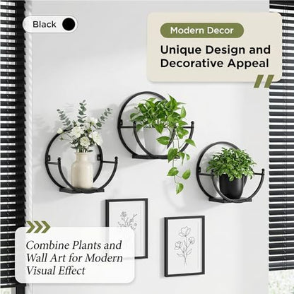 Wall Plant Holders for Indoor Plants, Round Mounted Frame, 2 Pack - size: 11 inches x 5.9 inches x 11 inches