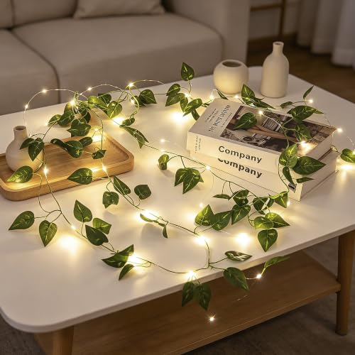 Vine Fairy Lights, 6.5FT 40 LEDs Pothos String Lights Indoor, 2 Pack - color: Pothos, size: 6.5 ft-20 LED-2 pack