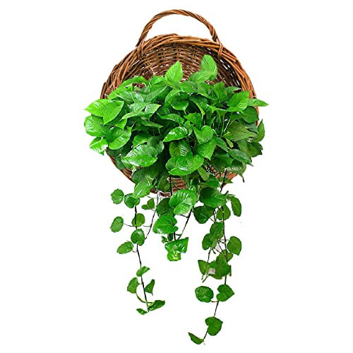 Foraineam Handmade Woven Hanging Basket, Natural Wicker Storage Basket Wall Hanging Flower Pot, Rattan Hanging Planter Container for Home Garden Wedding Wall Decorations