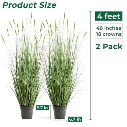 Faux 4ft 2-Pack Horsetail Reed Grass with Green Spikes in Black Pot - color: Green