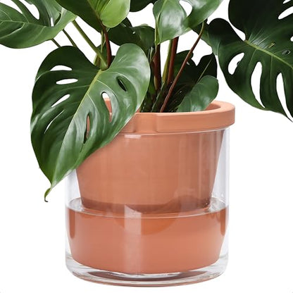 D'vine Dev Self Watering Terracotta Planter Pot, 10 in, 37-X-D-1 - color: Terracotta, size: 10 Inch