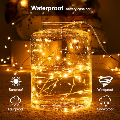 Ariceleo 1 Pack 16.4ft Battery Operated String Lights with Timer, Warm White with Synchronized Twinkle Mode, Fairy Lights Battery Powered, 50 LEDs, Idea for Christmas Bedroom Party Wedding - color: Warm White, size: 1 Pack-Upgrade