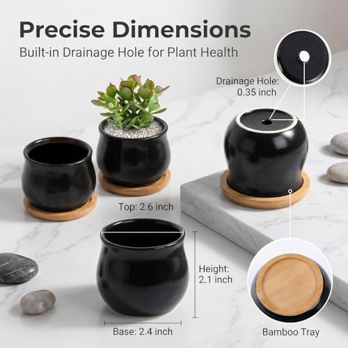 SHECIPIN 8 Pack Succulent Plant Pot, Matte Black Mini 2.6 inch Ceramic Flower Planter Pot with Bamboo Tray, Small Pots for Plants, Plants Not Included - color: Black