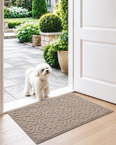 DEXI Front Door Mat Indoor Entrance, 17x30 Entryway Doormat, Blush Beige - color: Beige, size: 17" X 30" (Rectangular)