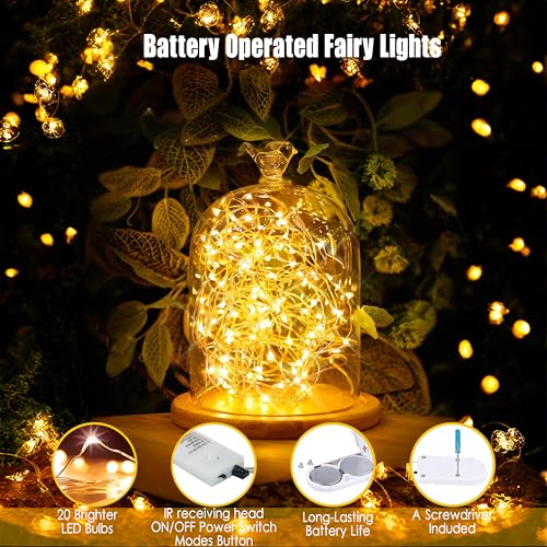 6 Pack Fairy Lights Battery Operated With Timer,2 Remotes,20 LED Warm White - color: Warm White, size: 6.5ft
