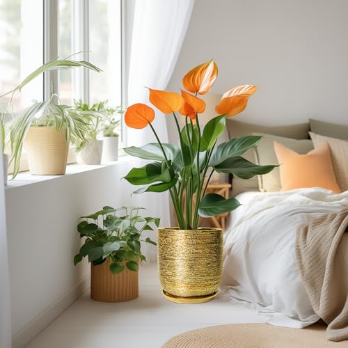 Ceramic Flower Pot for Indoor Plants - 10 Inch Plant Pot with Drainage Hole and Saucer, Decorative Round Outdoor Indoor Planter, Housewarming Gifts, Home Garden Decor, Gold - color: Golden, size: 10 Inch