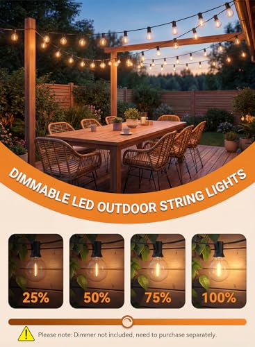 25FT G40 LED Globe Outdoor String Lights with 25 Plastic Shatterproof Bulbs - color: Warm White-Black, size: 25FT