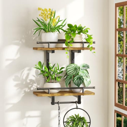iDavosic.ly Wall Plant Holder, 2 Tier Indoor Floating Display Shelf, Brown - color: Rustic Brown