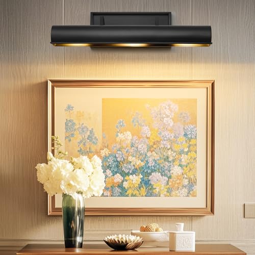Art Picture Wall Sconce,Linear Artwork Display Wall Lights - color: Black, size: 18"-3 Bulbs