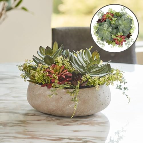 CG Hunter, Round Faux Succulent Arrangement, 14 in, Natural, Home Decor - size: 14" Round Natural