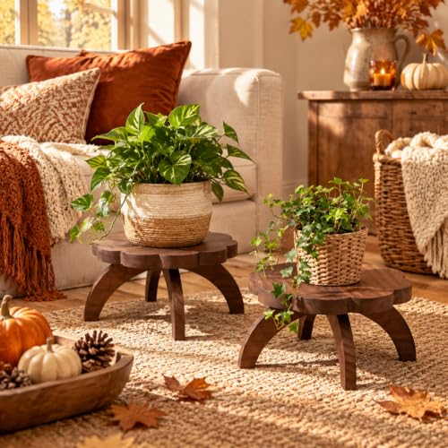 Novabright 2 Pcs Scalloped Short Plant Stand Small Wood Plant Stool Riser
