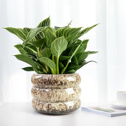 Ceramic 6 inch Plant Pot - Planter for Indoor Plants with Drainage Hole - color: White-s