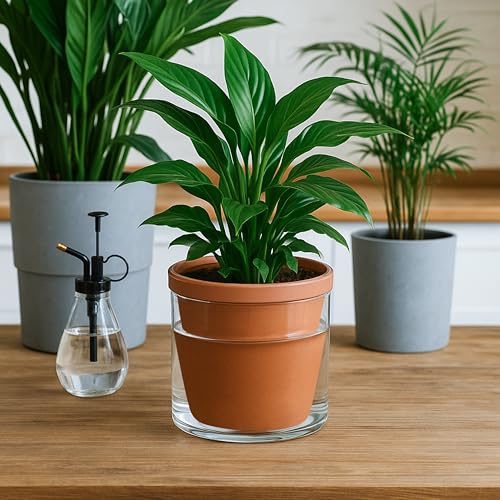 D'vine Dev Self Watering Terracotta Planter Pot, 6 in, 37-X-B-1 - color: Terracotta, size: 6 Inch