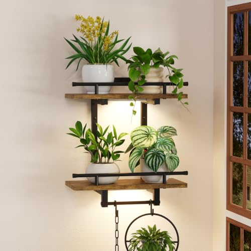iDavosic.ly Wall Plant Holder with Grow Lights, 2 Tier Display Shelf, Brown - color: Brown with Lights